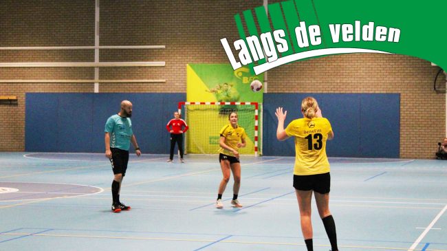 langsdevelden-vooreerstefluit